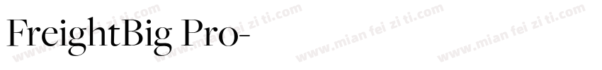 FreightBig Pro字体转换